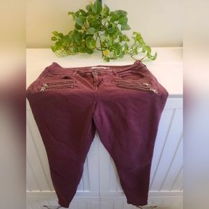 Torrid Plus Size Denim Jegging Zipper Pocket Design